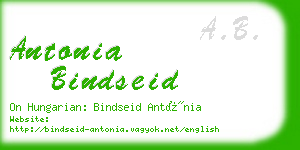 antonia bindseid business card